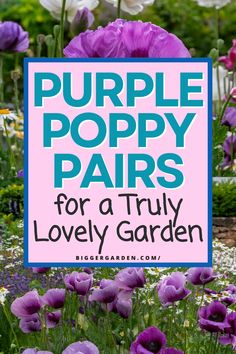 Bring a purple poppy paradise to life with 7 flower arrangement ideas that showcase exotic flowers, purple poppies, and beautiful blooms. Celebrate all things purple, flower art painting, and flower pictures to add vibrant color to your garden.