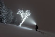 a person standing in the snow with a light on their head and trees behind them