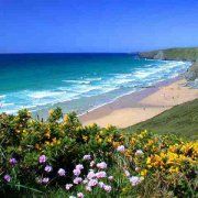 the beach is surrounded by wildflowers and blue water