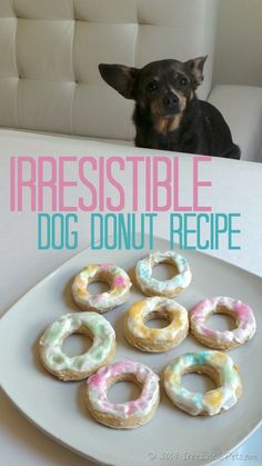 a small dog sitting behind a plate with donuts on it and the words irresistiblele dog donut recipe