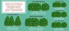 how to create hedges with your dowoods info sheet for landscaping and lawning