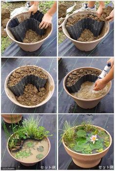 four pictures showing how to make a pond in a pot with water and plants growing out of it