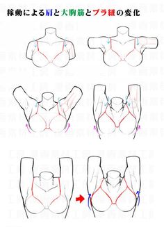 how to draw the upper half of a woman's body with different angles and directions