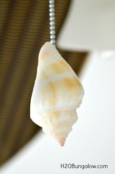 a sea shell is hanging from a chain