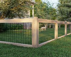 a dog is standing in the grass behind a fence that has been made out of wood and wire