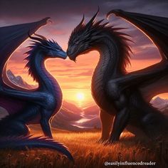 two black dragon facing each other in front of a sunset