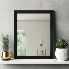 a mirror sitting on top of a white shelf next to a potted pineapple