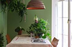 a dining room with green walls and potted plants on the table in front of an open window