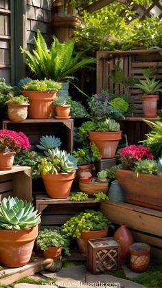 container gardening Container Garden Design