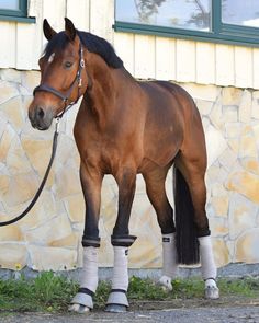 a brown horse standing on top of a sidewalk next to a stone wall and grass