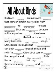 an all about birds worksheet with words and pictures on the front page,