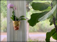 a potted plant hanging from the side of a window next to a green leafy tree