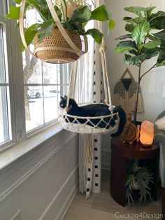 a cat sleeping in a hammock hanging from a window sill next to a potted plant