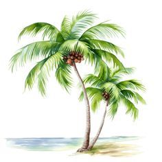 two palm trees on the beach with water