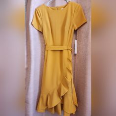 Size 4 Mustard Chic Dress For Work, Chic Mustard Dress For Work, Yellow Midi Dress For Work, Yellow Dress With Ruffle Hem, Elegant Yellow Dress With Ruffle Hem, Spring Gold Midi Dress For Work, Gold Midi Dress For Spring Workwear, Elegant Mustard Spring Dresses, Summer Calvin Klein Dress For Brunch