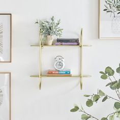 a white wall with three gold shelves and some plants on top of each shelf in front of it