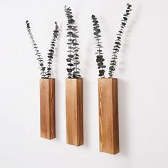 three wooden vases with plants in them