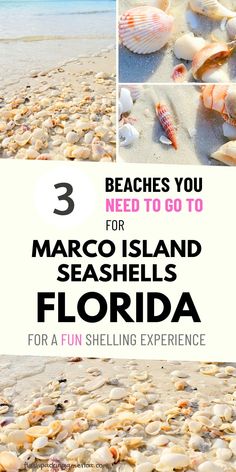 the beach with shells and text that says 3 beaches you need to go to for marco island seashells florida