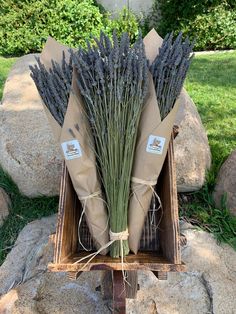 bundles of lavender are wrapped in brown paper