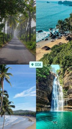 four different pictures with trees, water and people walking on the side of the road