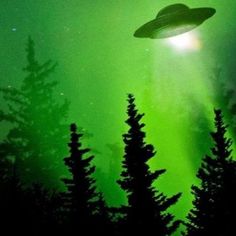 an alien flying through the night sky over trees and evergreens in front of a green light