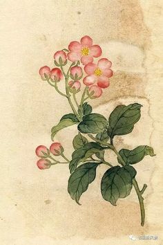 a painting of pink flowers with green leaves