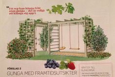 an advertisement for a garden with fruits and vegetables on the front, including strawberries