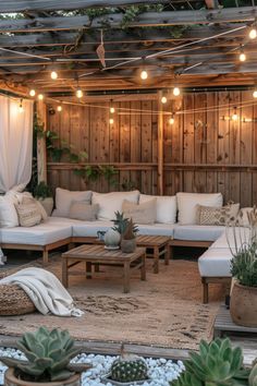 an outdoor living area with couches, tables and succulents