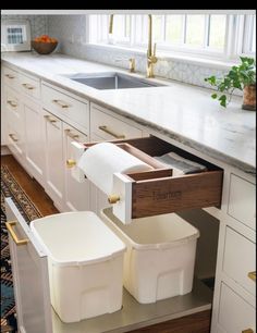 two bins in the middle of a kitchen counter