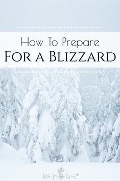 the words how to prepare for a blizzard in front of snow covered trees with text overlay