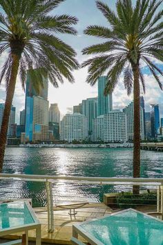 two palm trees near the water and some buildings