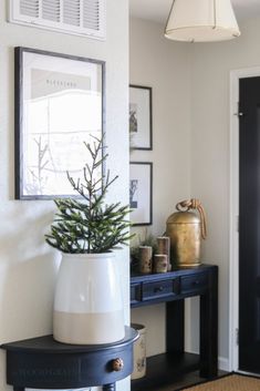 a potted plant sitting on top of a black table next to a white vase