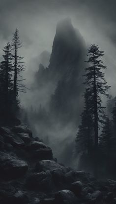 a mountain covered in fog with trees and rocks