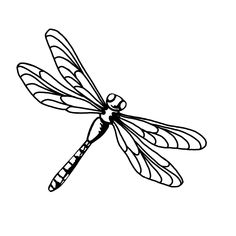 a black and white drawing of a dragonfly