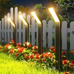 a row of lights sitting on top of a lush green field next to red flowers