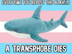 a stuffed shark with the caption, every time you repost this blaha's a transphobee dies