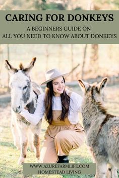 a woman kneeling next to two donkeys with the caption caring for donkeys