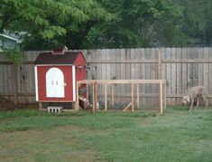 two dogs are outside in the yard near a chicken coop