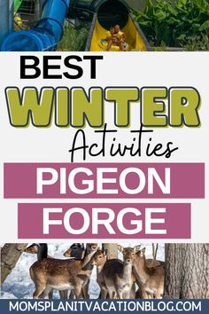 the best winter activities for kids in pigeon force, with text overlay that reads best winter activities