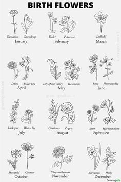 birth flowers Birth Flowers By Month, Flowers By Month, Locket Picture, Necklace Photo, Birth Flower Tattoos, Picture Locket, Feminine Tattoo, Round Locket, Dainty Tattoos