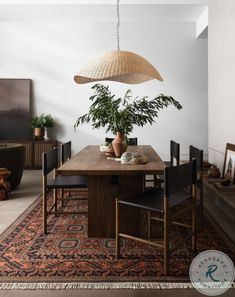 a dining room table with chairs and a plant on the rug in front of it