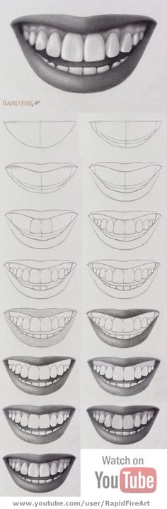 an image of teeth with different shapes and sizes