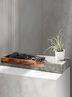 a potted plant sitting on top of a white counter next to a pair of sunglasses