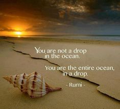 a seashell on the beach at sunset with a quote from rumi - you are not a drop in the ocean, you are the entire ocean, in a drop