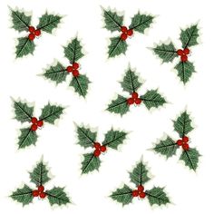 holly leaves with red berries are arranged in the shape of an xmas ornament