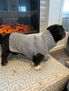 a dog wearing a sweater standing on top of a couch next to a fire place