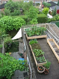 an aerial view of a garden with lots of plants