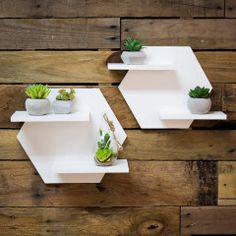 three white shelving shelves with succulents and plants on them against a wooden wall