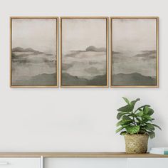 three paintings hanging on the wall above a table with a potted plant in front of it