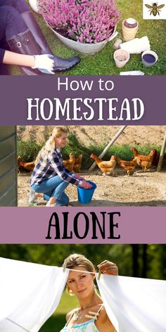 Homestead Beginner, Homesteading Inspiration, Diy Homesteading, Sustainable Homestead, Homesteading Tips, Homesteading Animals, Farming Ideas, Self Sufficient Homestead, Modern Homestead